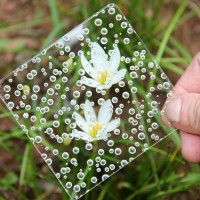 custom clear acrylic bubble sheet