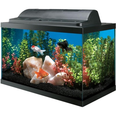 Hot Selling Clear Plastic Portable Fish Tank