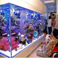 Acrylic marine salt water fresh water fish home tank aquarium tank for ornamental fish, with sump