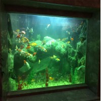 Custom acrylic transparent plastic rectangular tank acrylic aquarium for zoo